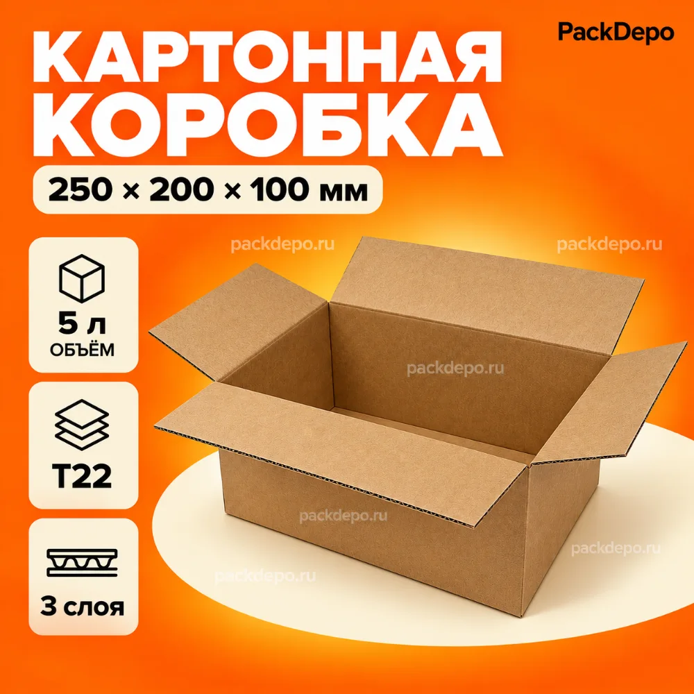 Картонная коробка 250*200*100 мм / Гофрокороб 250*200*100 мм – Т22B - основной вид Картонная коробка 250*200*100 мм / Гофрокороб 250*200*100 мм – Т22B - основной вид